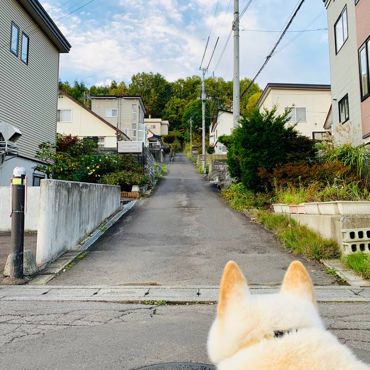 4f28c5f6 9afe 491b a07e dcc4099a3e92 1570746686041