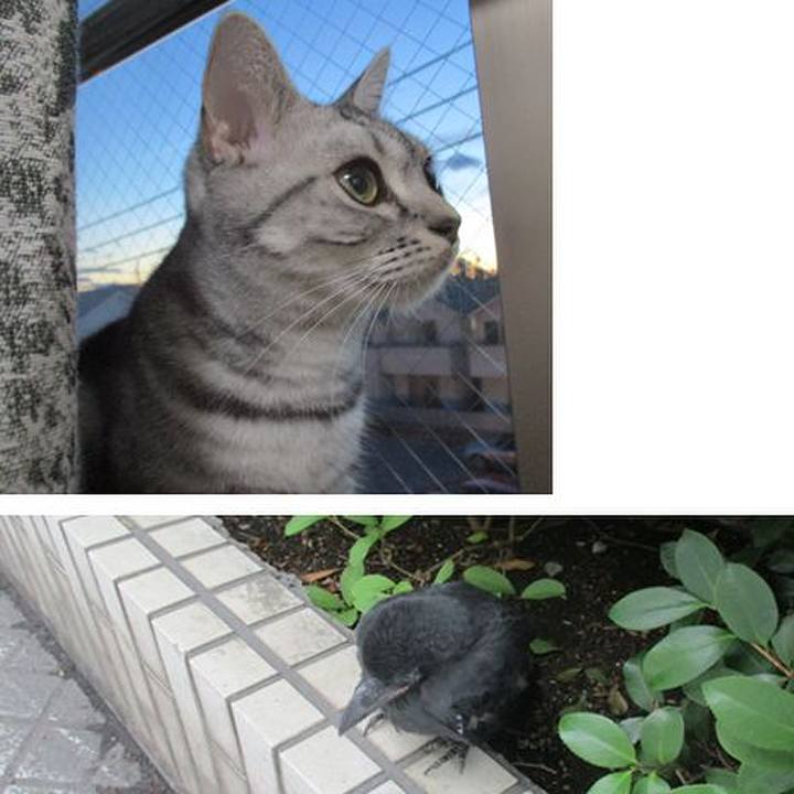 4f28e15b 1f7a 48a8 8851 9b1df2dd7d7a 1560682701708