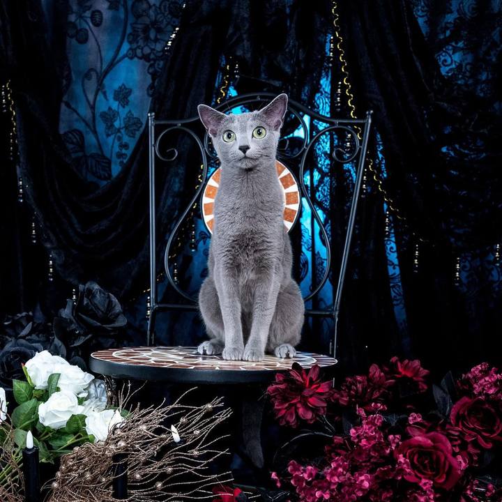 4f291944 26a5 4ca0 ac74 4a465eb71461 1720948556217