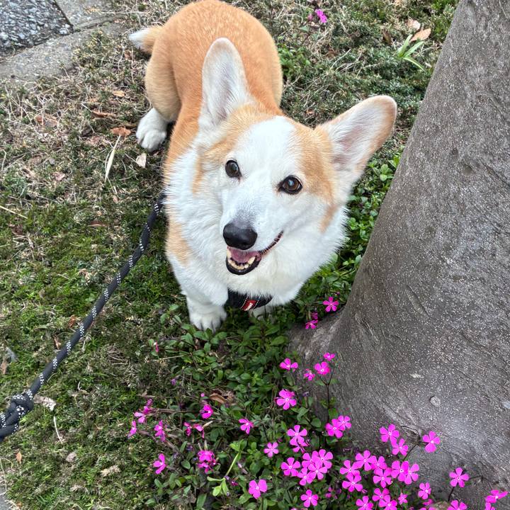 4f294613 041d 48cb ac92 e25779263fe8 1773706865774