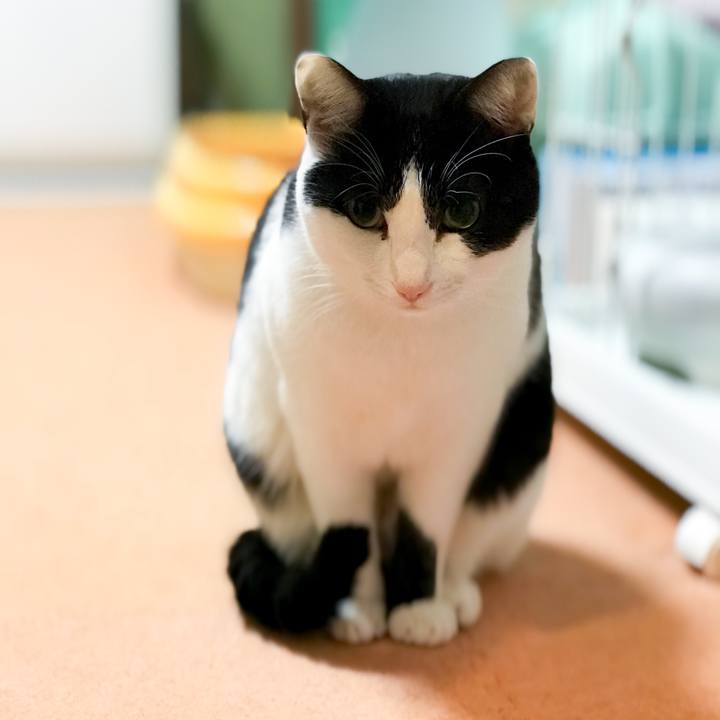 4f297f67 33f0 4468 89a3 2e2bf9a365e7 1519051836529