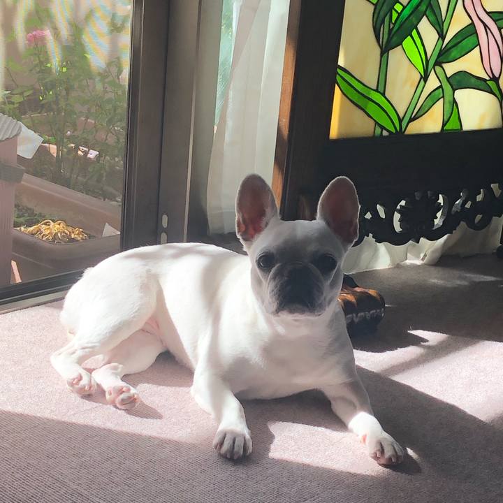 4f298d5d d4ac 4a9e 9c78 400977e467dc 1622270551329