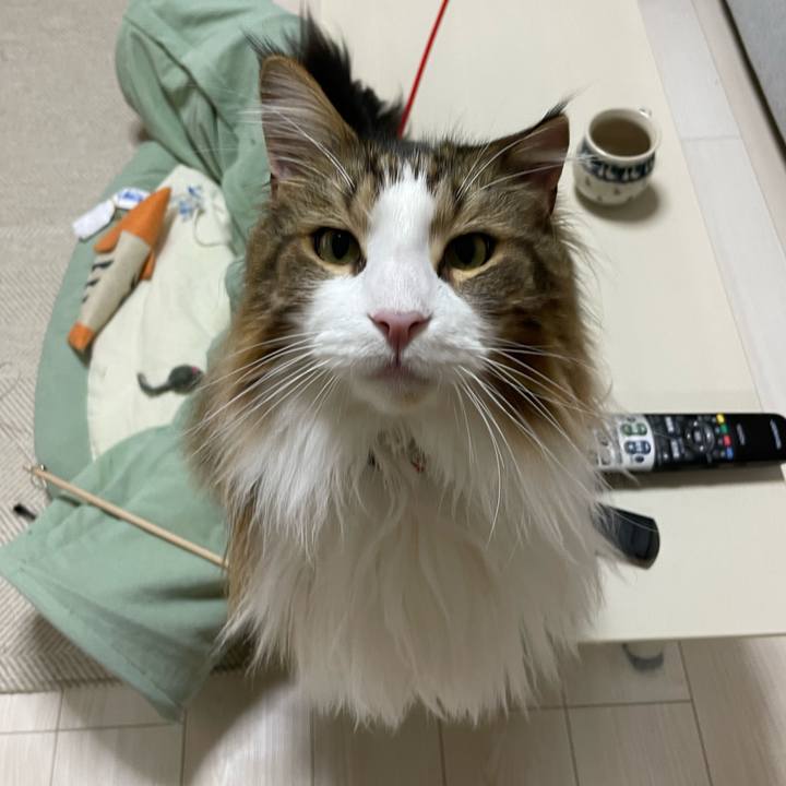 4f2990f8 d7a1 453d af32 d10302ac50d8 1681846972378