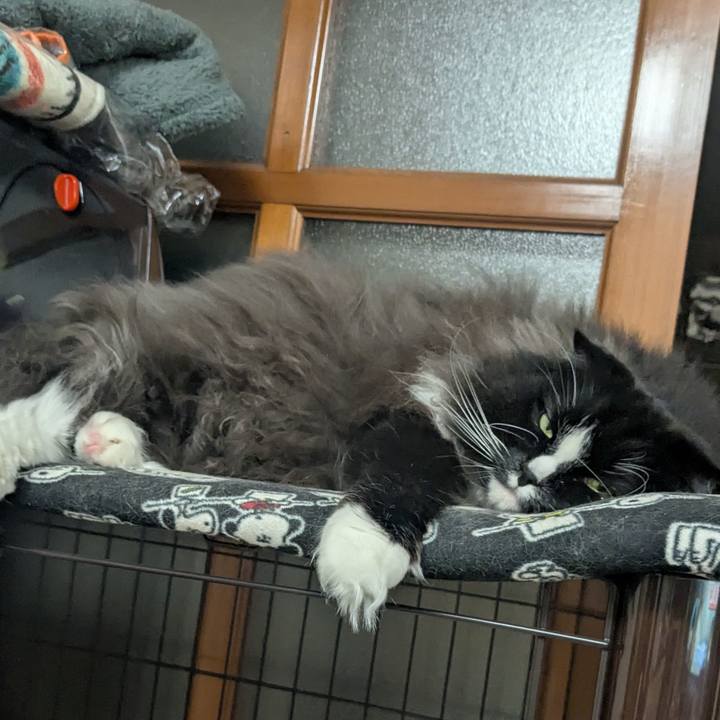 4f29bf55 400d 4de0 be5c abd5a96a9d69 1770460023296