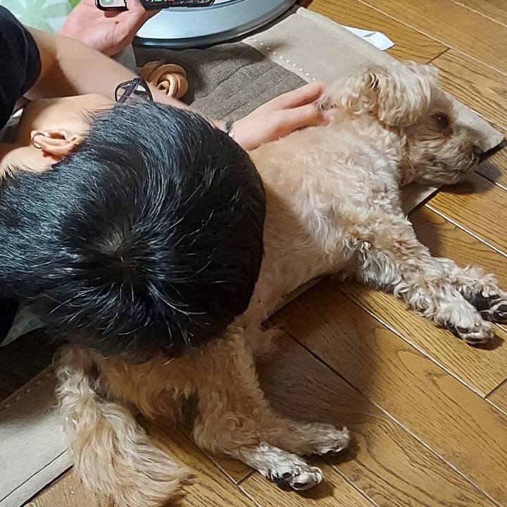 4f29c376 a702 4705 aa31 6dfc388d20f8 1693220651240