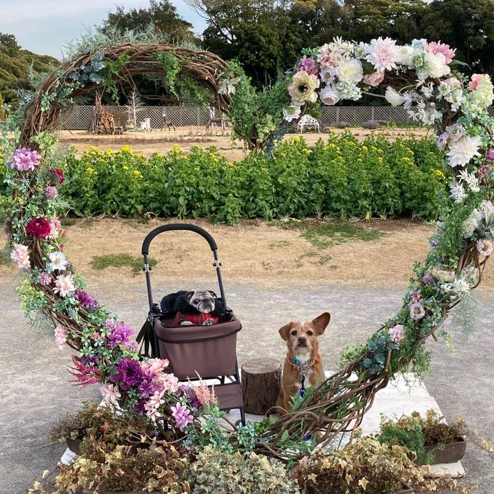 4f29d20f e3f6 49ef b873 43b89d7cf79d 1613271612295