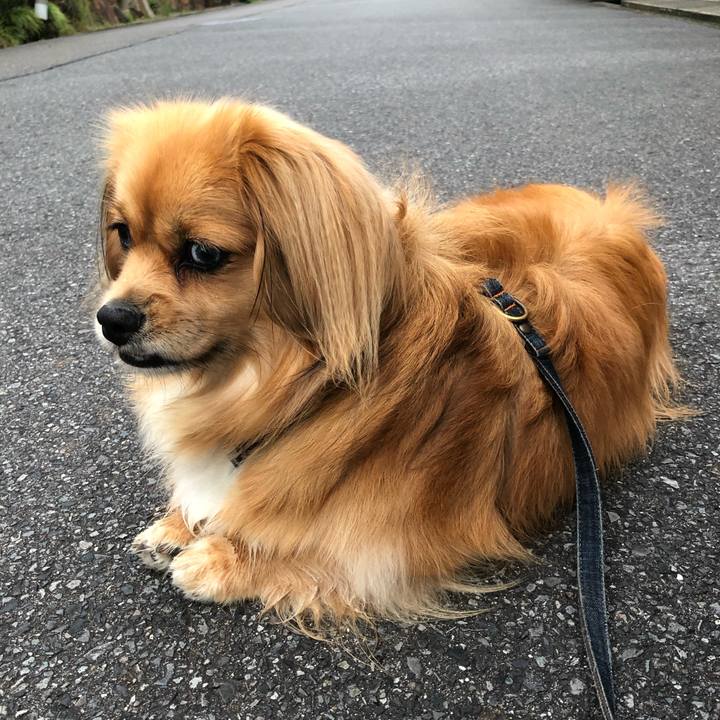 4f29f2c9 8f9b 4e60 9196 98e7433f8dbf 1561325371530