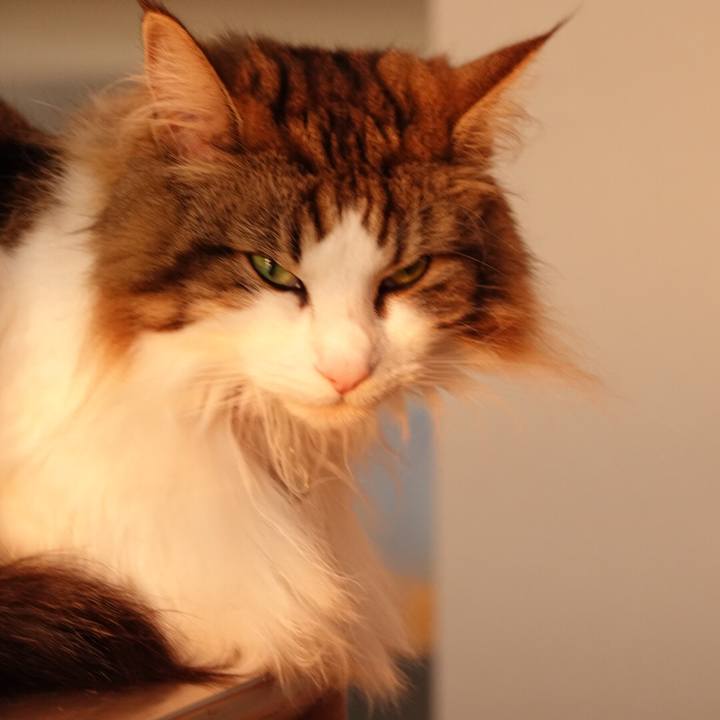 4f29fcce 7237 4a63 9b1e 1dc1a5f2d2b5 1559821744108