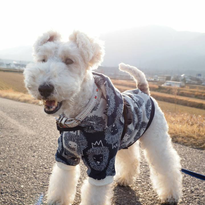 4f2a01c7 2a50 448b a02a 38ceb394ea4c 1520223382064