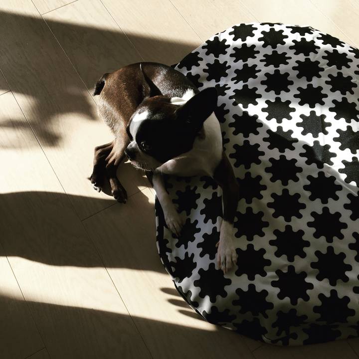 4f2a2d8e 019c 4623 8427 a370736322d0 1517281713249