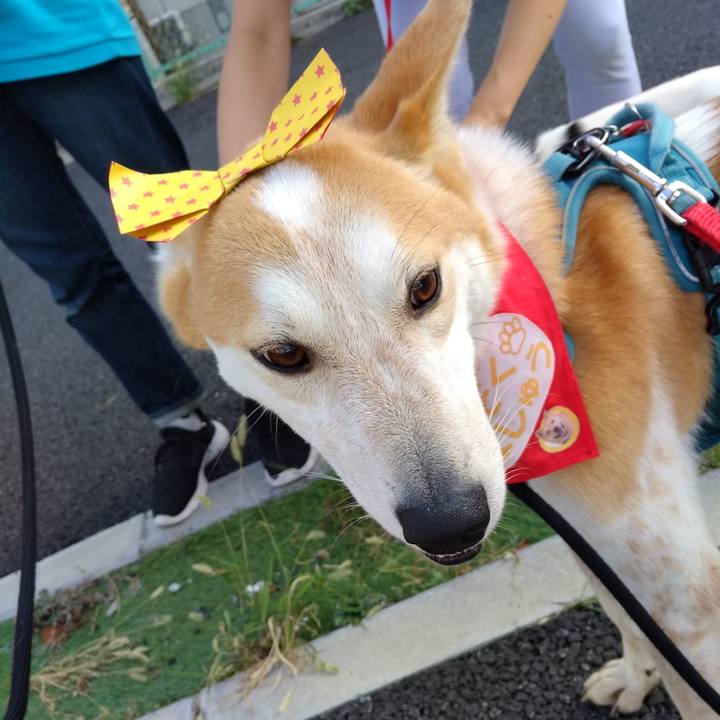 4f2a420a 1913 41d9 8bb3 bc0c3a3034a2 1568632715211