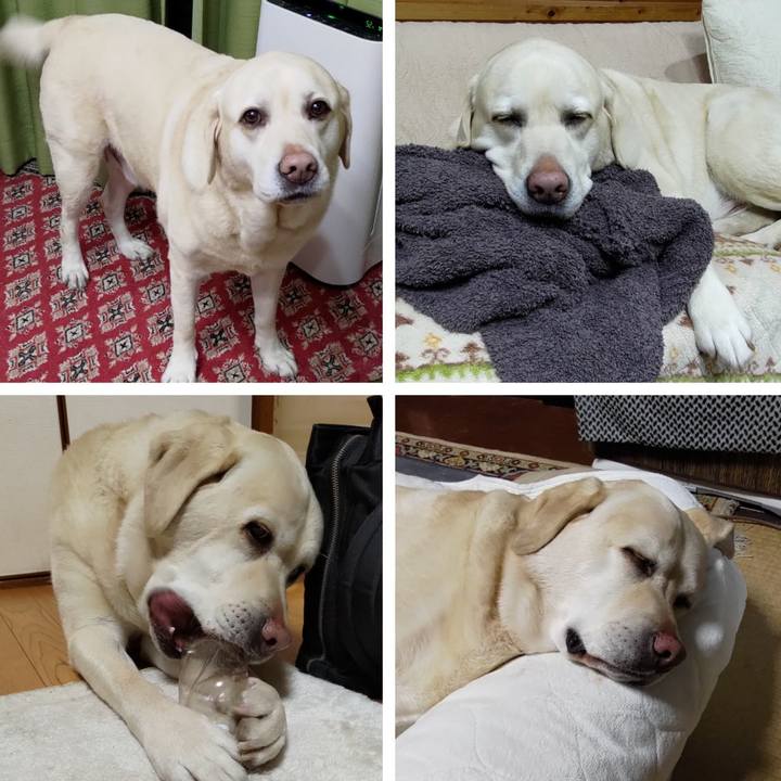 4f2a6022 0453 4543 be9a 3cf7830c3baa 1709131200917