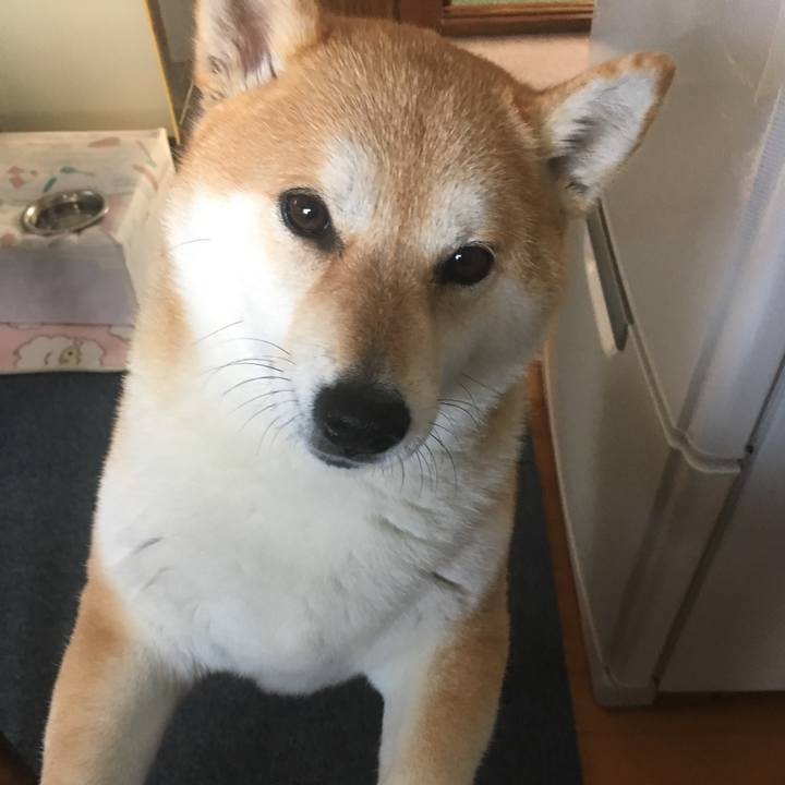 4f2a6cbb 5d20 451b a7ae b5f07448369b 1552093108623