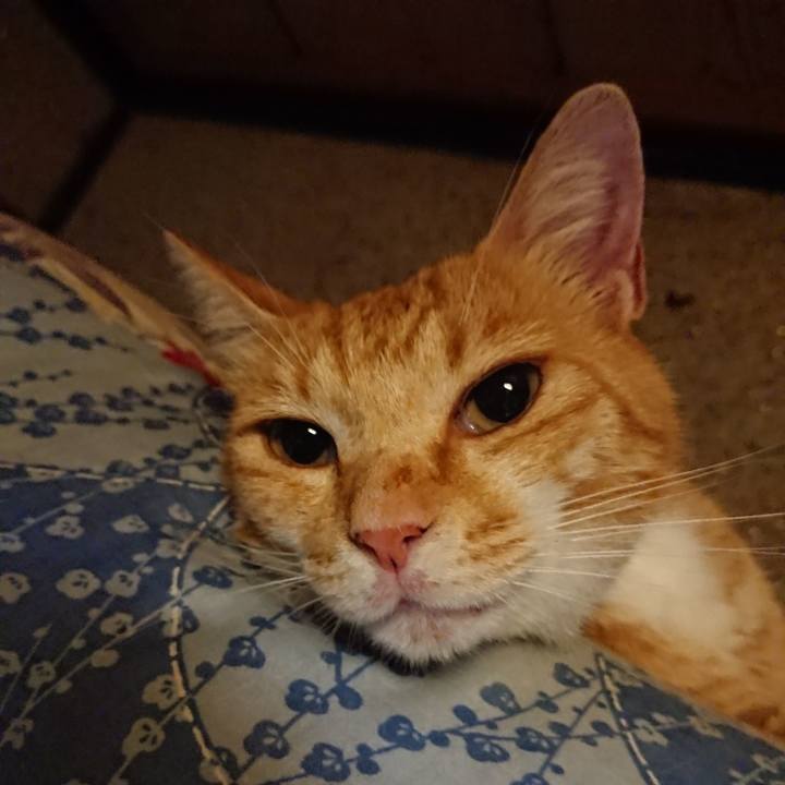 4f2a8f64 9c8d 44d6 87b8 b5c6deadd31d 1595335741823