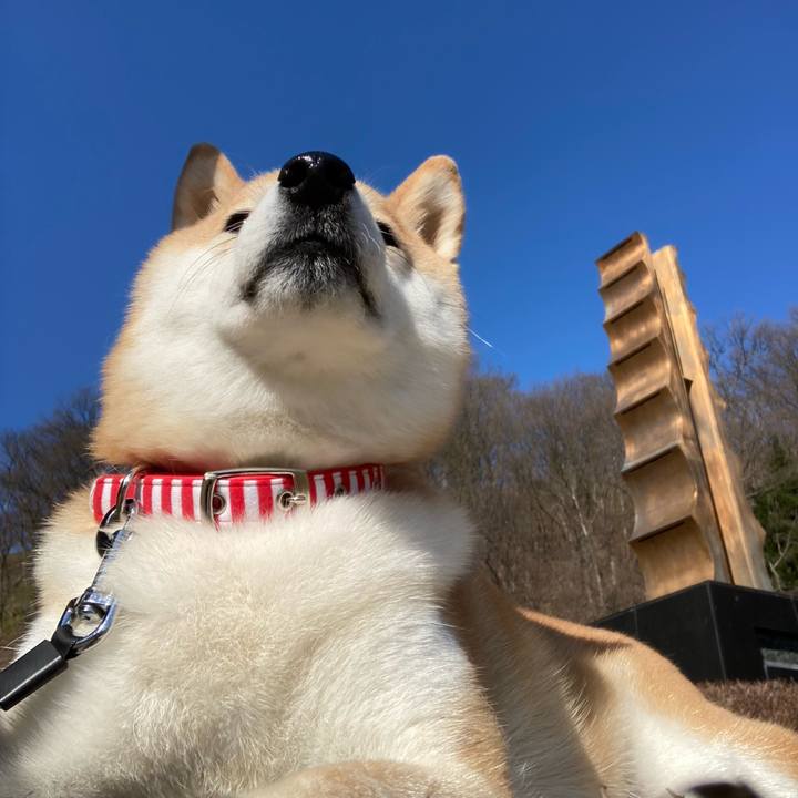 4f2ae828 d384 4a53 9bbe 2f3c754be639 1648856617125