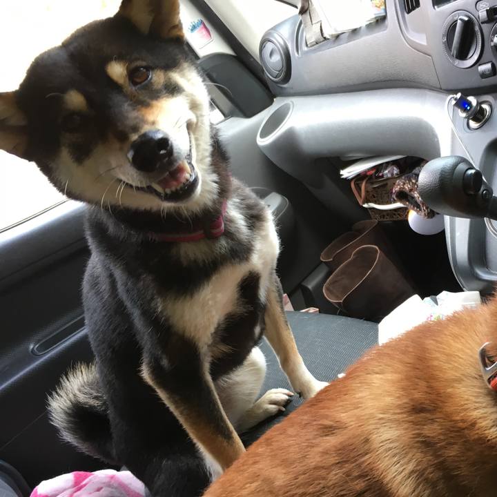 4f2af6a7 df2f 4430 bc54 c1902cd9e6ee 1524277124858