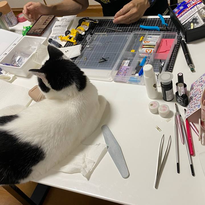 4f2b1cd6 6f72 4224 a2cf 08dae2907fe9 1628948773288