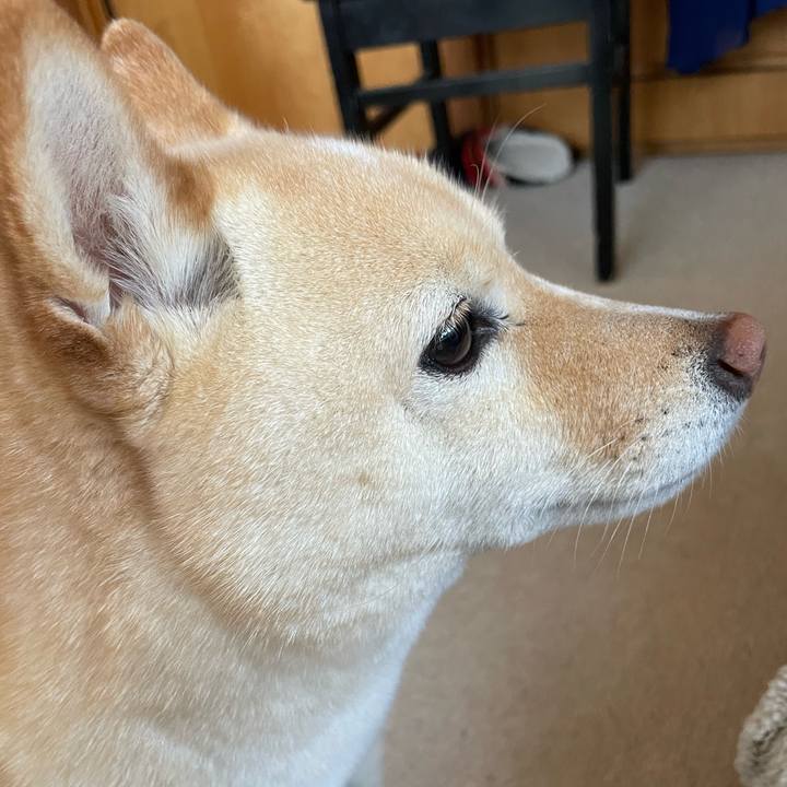 4f2b5829 bae2 4492 8a3b 2735524fec8b 1679315852840