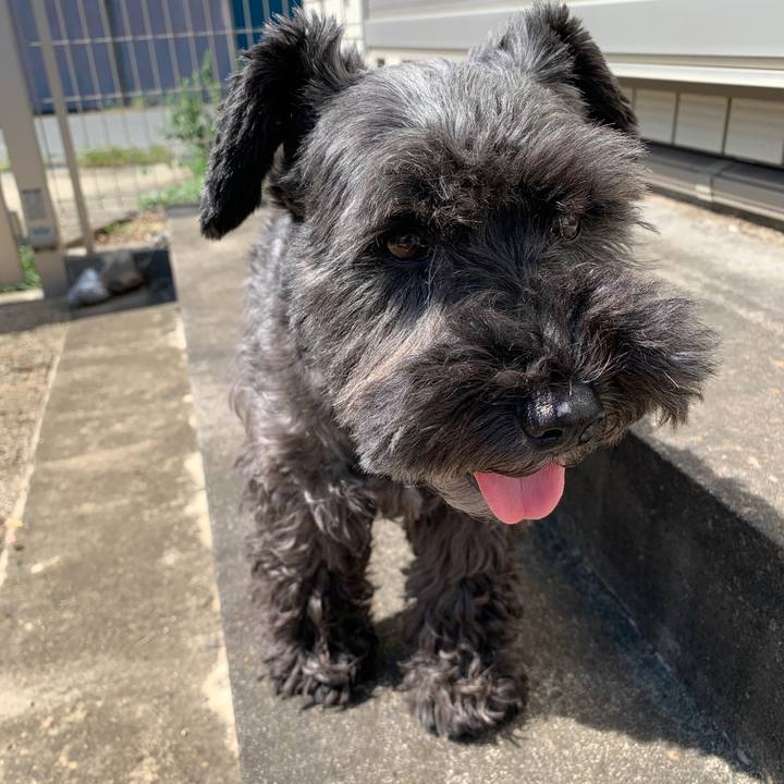 4f2b5b30 4400 4c79 a6ed e8ec4bb73c7a 1601433688642