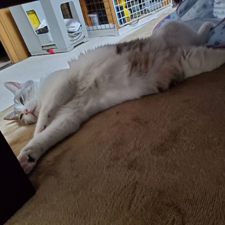 4f2b6431 356c 4ca8 94c1 6664b5bb529a 1716067801319