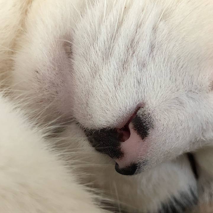 4f2b6440 522c 46a3 ac7c b4ecb61528eb 1552689100490