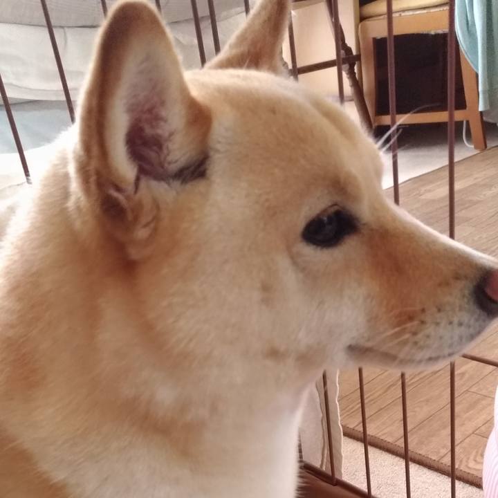 4f2bcbd5 d248 4d9d b79c 14288efe0b5c 1591655233789