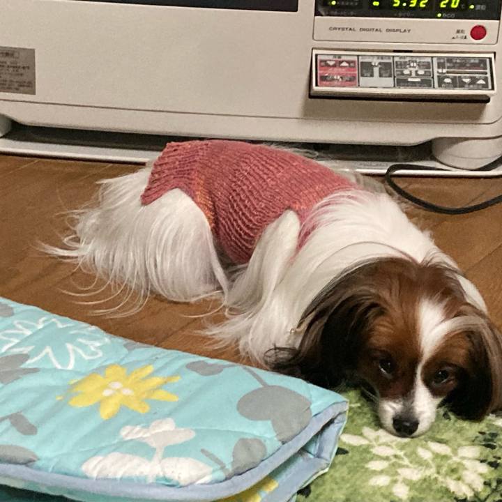 4f2bfdd2 f835 43b4 be80 aaa26bea109b 1638521356909