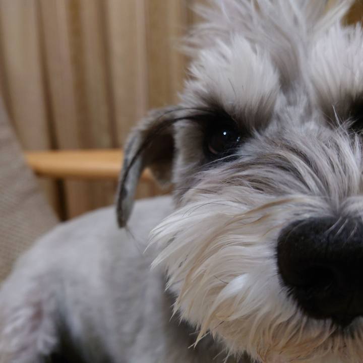 4f2c0e78 f877 4122 acef 5661face238f 1768133723227