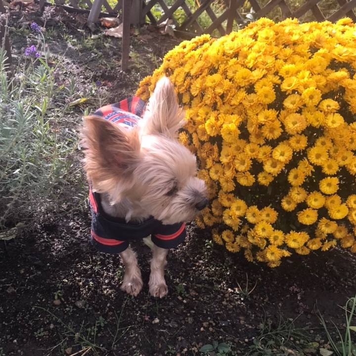 4f2c3a2c 780b 4309 8f8b a256d4141f43 1604309279107