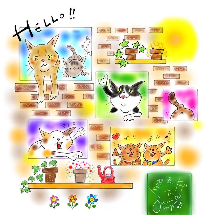 4f2c6119 14ff 43b0 b695 d2807af94f8f 1636325845298