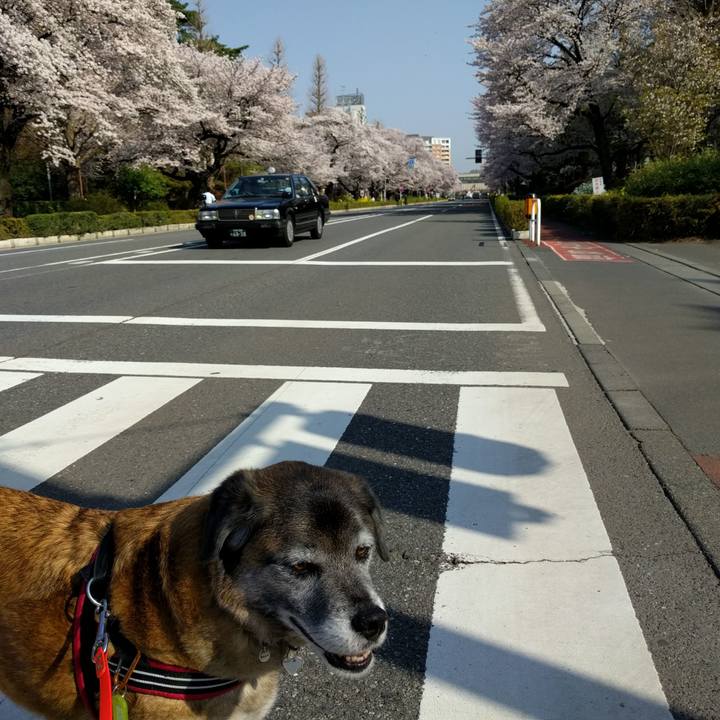 4f2c6e52 694e 4ab5 ac25 93435df3821e 1522283247206