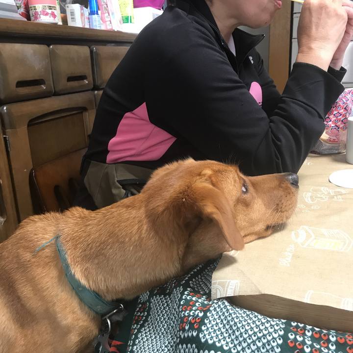 4f2c9484 69f0 4719 8089 8b6fc6e1245e 1510284574595