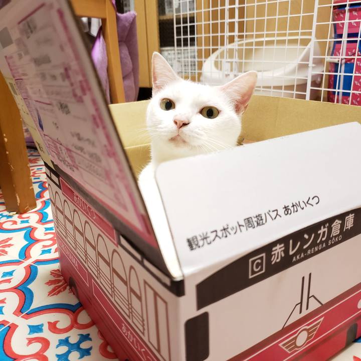 4f2d0801 2d1a 4696 bf6d ad90eddf4711 1579666952045