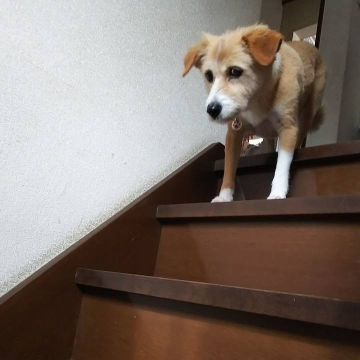 4f2d3fe9 ba06 47fd 828d 82d10f6fa2b8 1560506904665