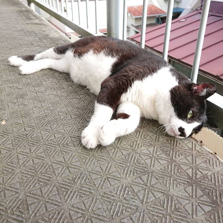 4f2d7dfc 4ef3 4db3 82e2 c83468d2cf15 1593388559757