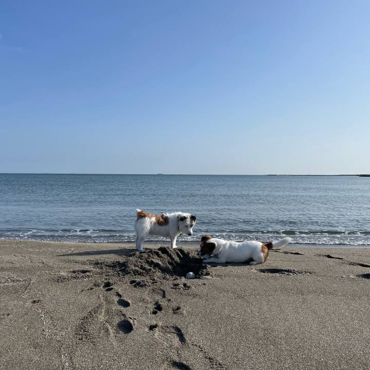 4f2de2f7 2c14 4b2b 9b6b f06b40ac48e6 1681946687340