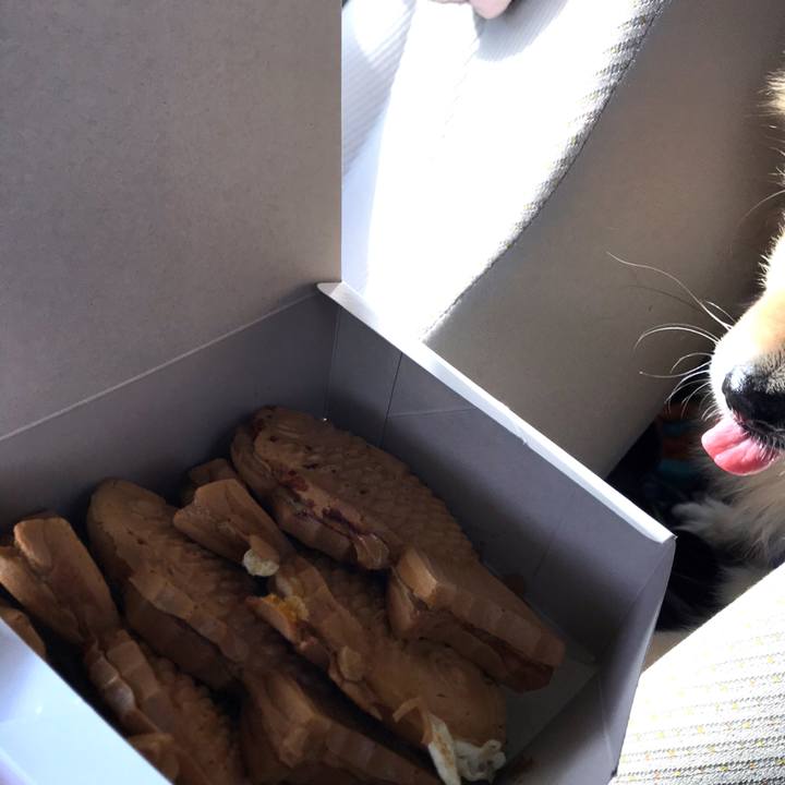 4f2de9dc 94a5 4d65 ba1b 1f189d754037 1610975099012