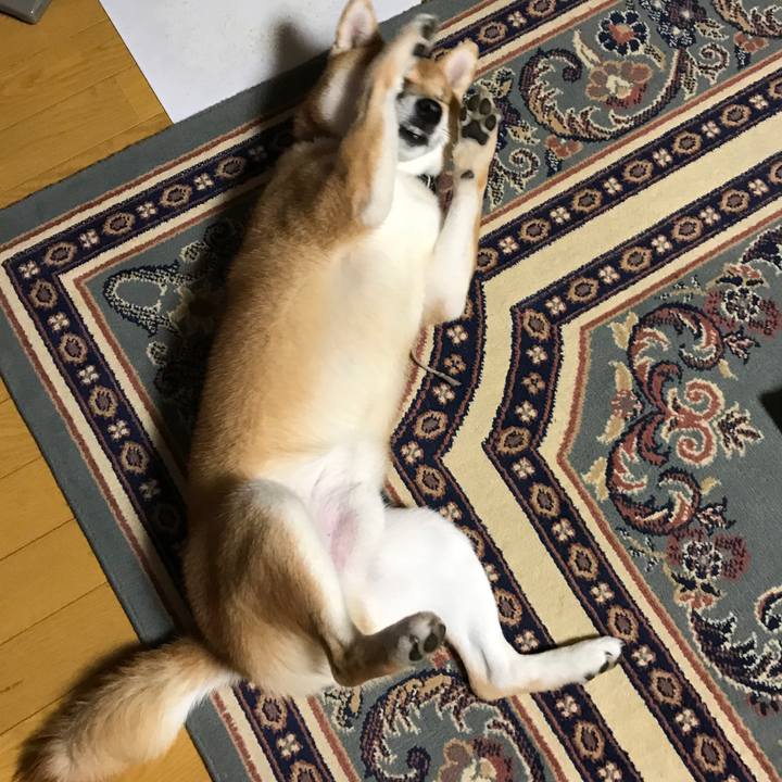 4f2dea41 3db1 4886 a974 3c25f758f7c5 1515480923931