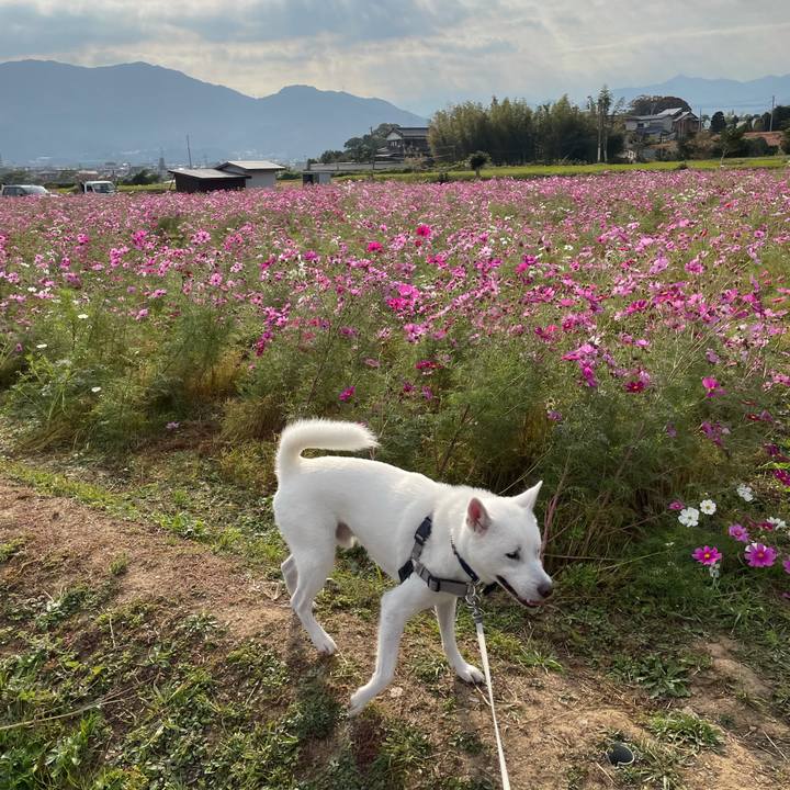 4f2e3181 d55a 4dd5 a001 dd8dea7f8e8d 1635557395708