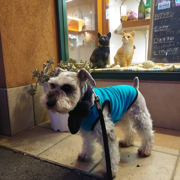 4f2e36df abf5 4ff7 9e47 95a92c4e6807 1549182726139