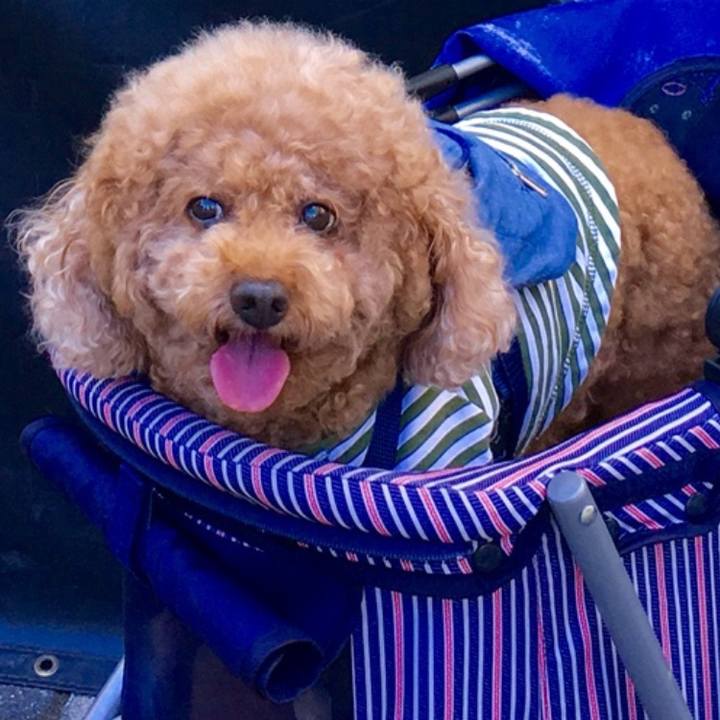 4f2e5100 769f 4fa6 8beb 33a25b5d0388 1622644655556