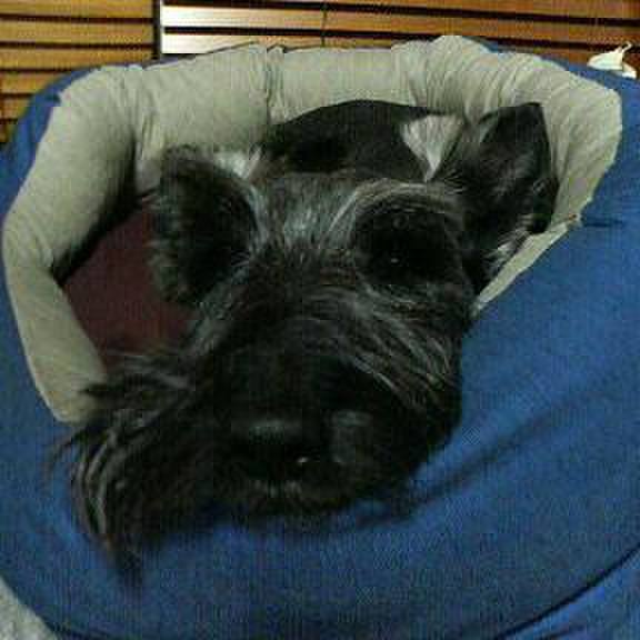 4f2e5e62 c3d3 4791 a890 c71cd63265d8 1522191077145