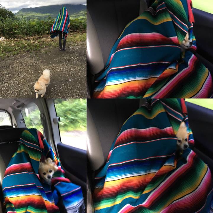 4f2e62c1 b004 43f5 8516 8adcdb75557f 1534508410151