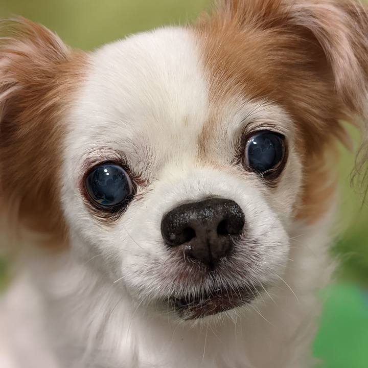 4f2e75d5 2164 4fcf ad91 54365c1b1694 1636633855183