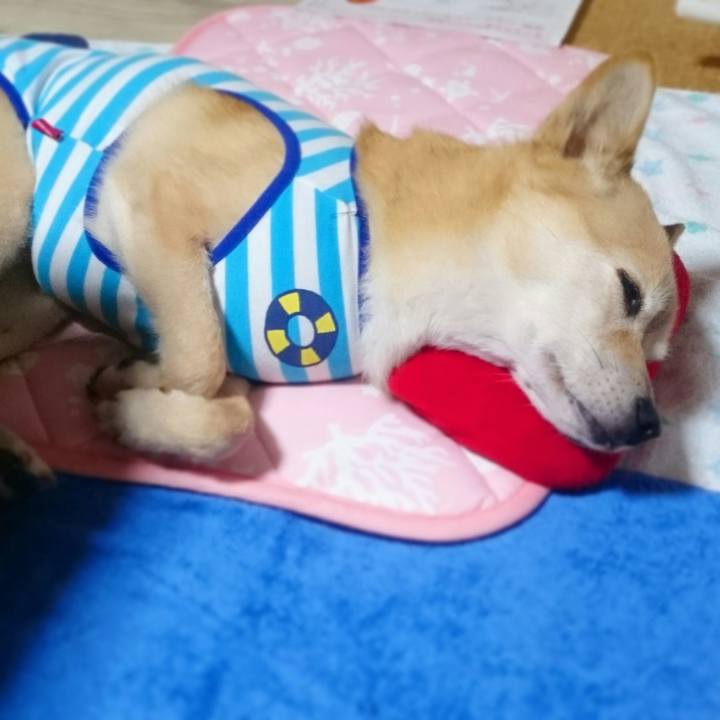 4f2e8004 d57d 45b4 9c40 fb9c7fbfedde 1537377936616