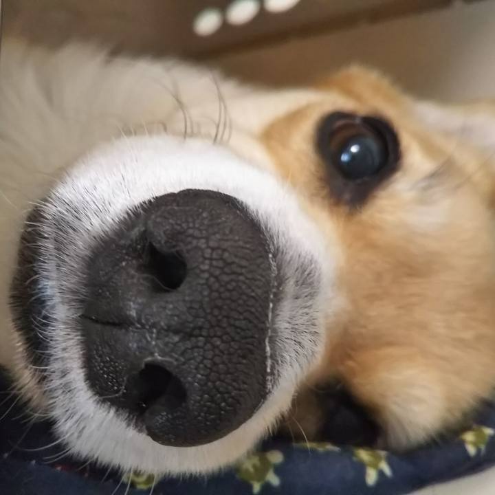 4f2ea5a9 b4b7 4a2b 98f9 63f3e1a724fd 1523505653465