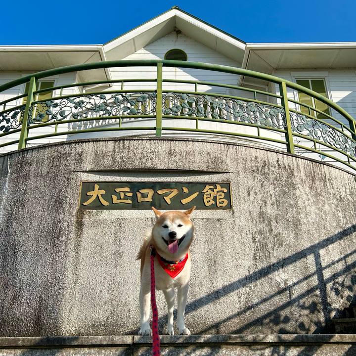 4f2ed7bf de46 4775 a440 57181e2dd8e4 1730884540343