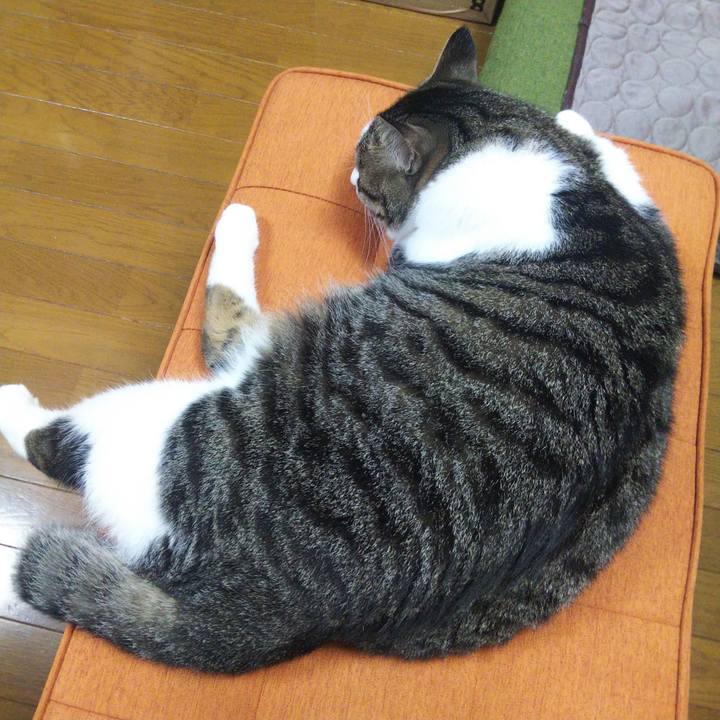 4f2f03ce 2f36 4c67 9090 b6e78bbfc4ea 1656937744543