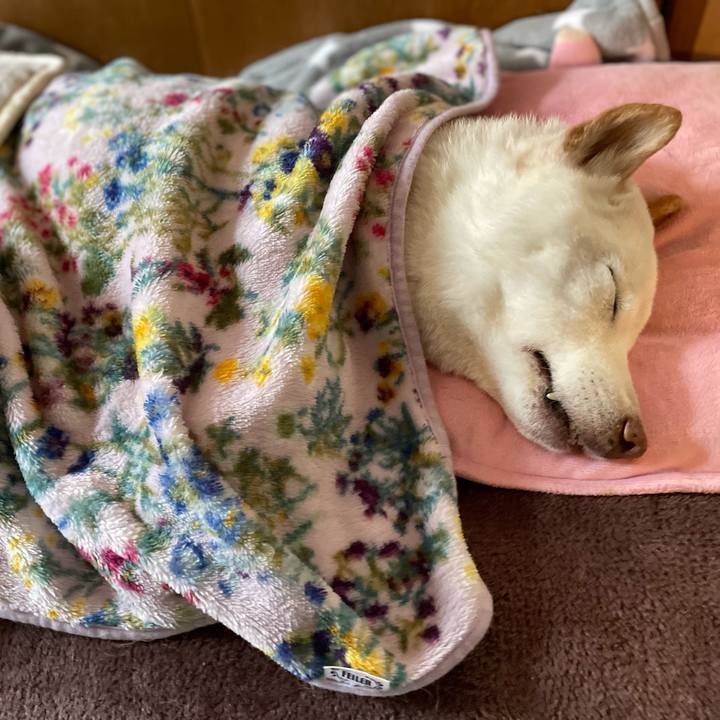 4f2f22a8 feea 43d7 b10a 365c2731c1b0 1646804727534