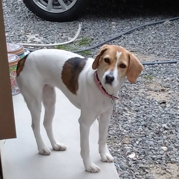 4f2f3419 ccc8 4f5b be32 f52d70662150 1584863899092